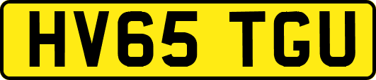HV65TGU