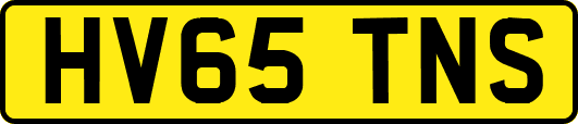 HV65TNS