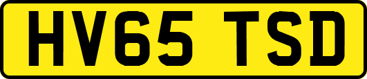 HV65TSD