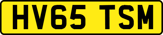 HV65TSM