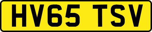 HV65TSV