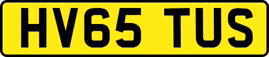 HV65TUS