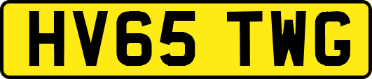 HV65TWG