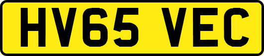 HV65VEC