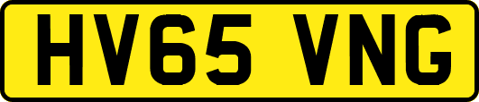 HV65VNG