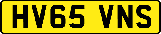 HV65VNS