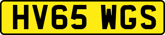 HV65WGS