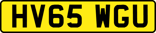 HV65WGU