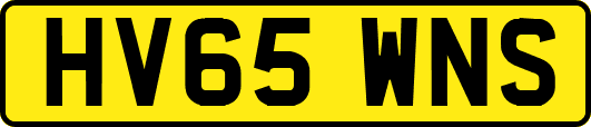 HV65WNS