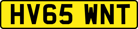 HV65WNT
