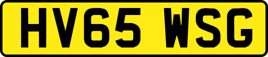 HV65WSG