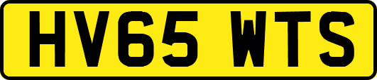HV65WTS