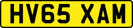 HV65XAM