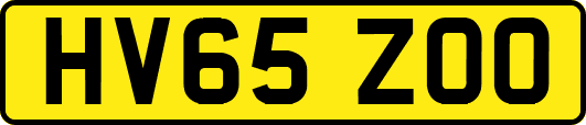 HV65ZOO