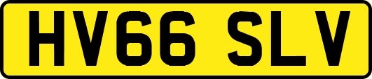 HV66SLV