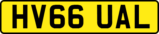 HV66UAL