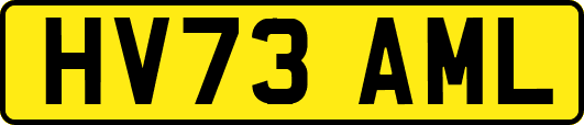 HV73AML