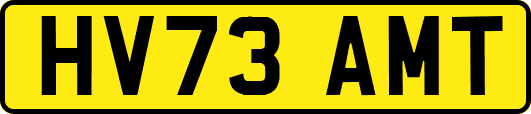 HV73AMT