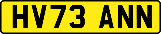 HV73ANN