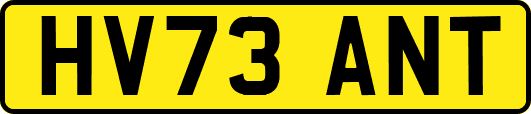 HV73ANT