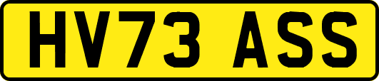 HV73ASS