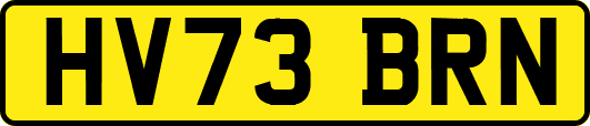 HV73BRN