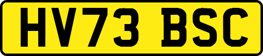 HV73BSC