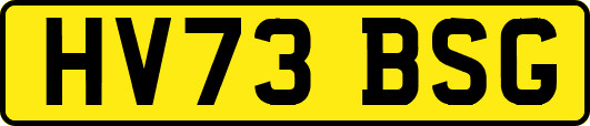 HV73BSG