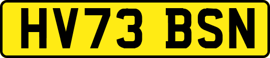 HV73BSN
