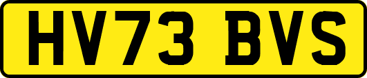 HV73BVS