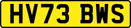 HV73BWS