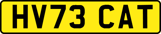 HV73CAT