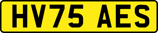 HV75AES