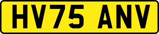 HV75ANV