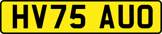 HV75AUO