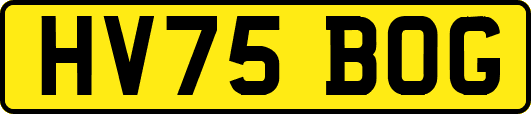 HV75BOG