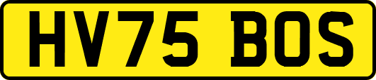 HV75BOS