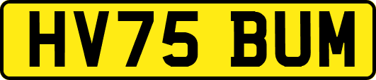 HV75BUM