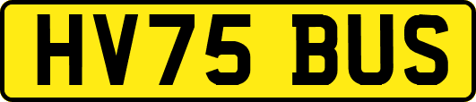 HV75BUS