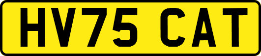 HV75CAT