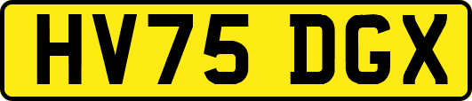 HV75DGX