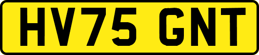 HV75GNT