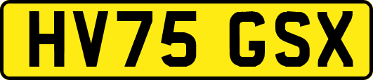 HV75GSX