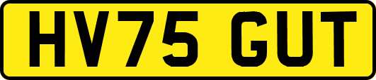 HV75GUT