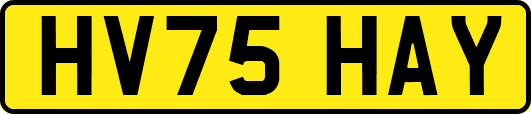 HV75HAY