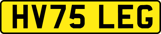 HV75LEG