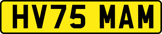 HV75MAM