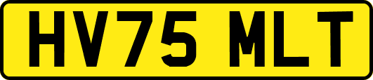 HV75MLT