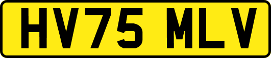 HV75MLV