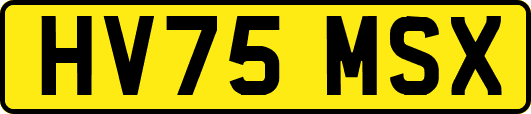 HV75MSX